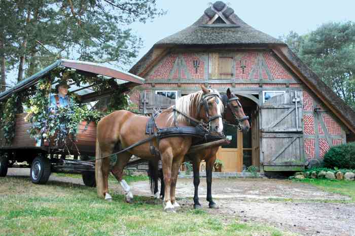 Pferdegespann Cafe im Schafstall