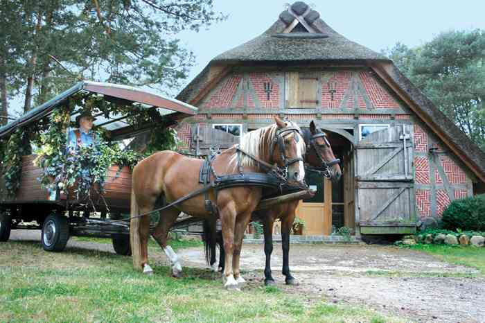 Hochzeitslocation Der Schafstall Pferdegespann Cafe im Schafstall