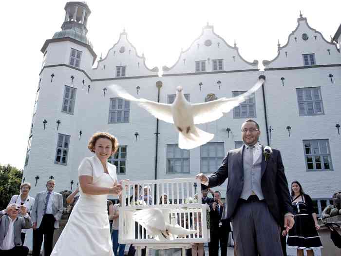 Hochzeitsfotografie Juliane Kiefer Fotografie Hochzeitstauben nach der Trauung im vor dem Ahrensburger Schloss - Juliane Kiefer Fotografie