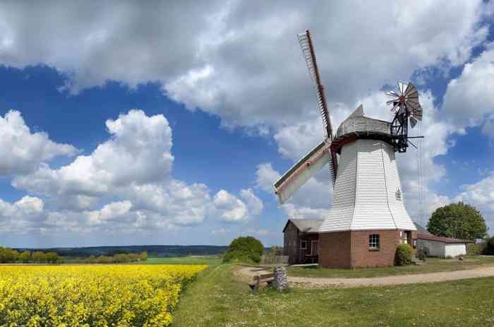 Trauort Standesamt Salzhausen Windmühle Eyendorf
