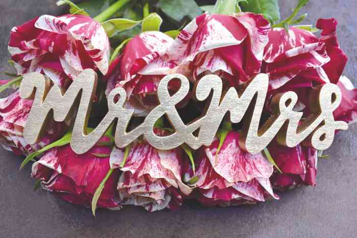 Ivorys Wedding Dream Ivorys Wedding Dream